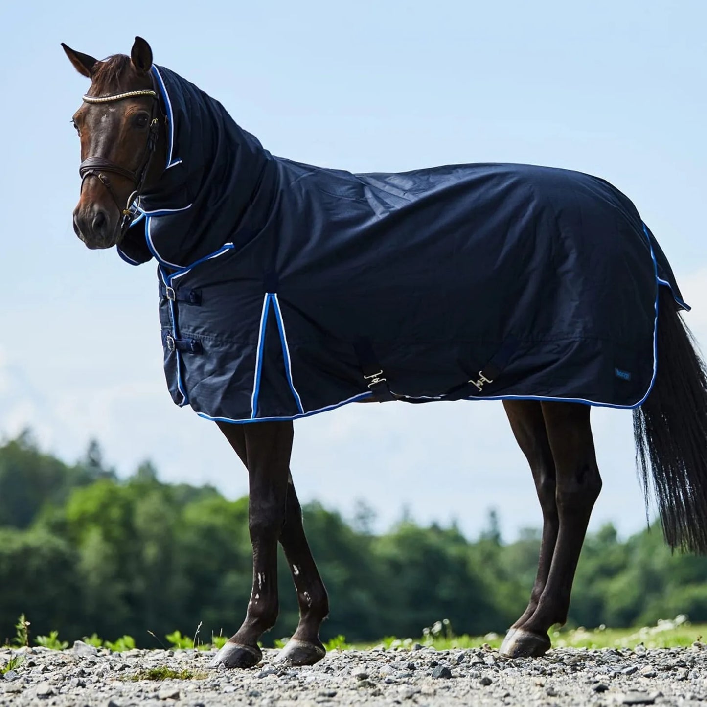 Heavy-Duty Winter Turnout Horse Blanket with Neck Cover