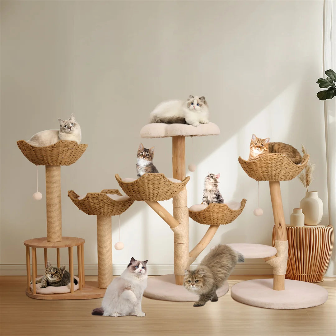Modern Solid Wood Cat Tree with Scratching Posts, Hammocks and Toy Ball