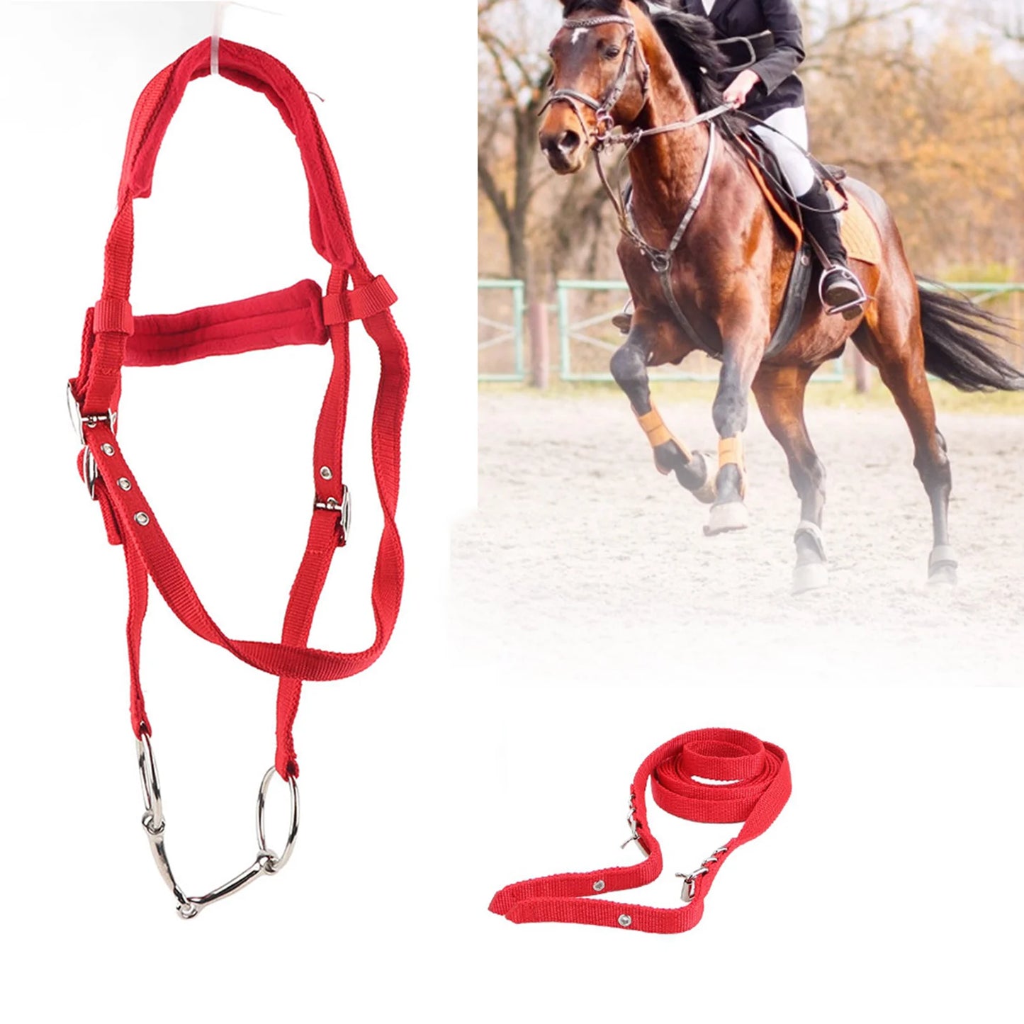 Adjustable Horse Bridle with Soft Cushion & Rein