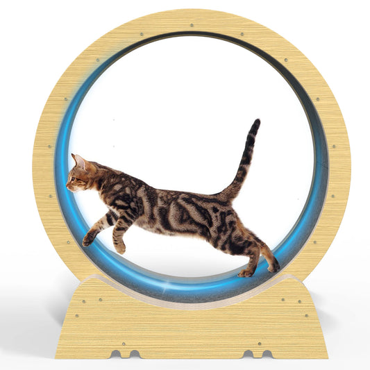 35-Inch Indoor Cat Treadmill Wheel – Exercise & Fitness Toy for Cats