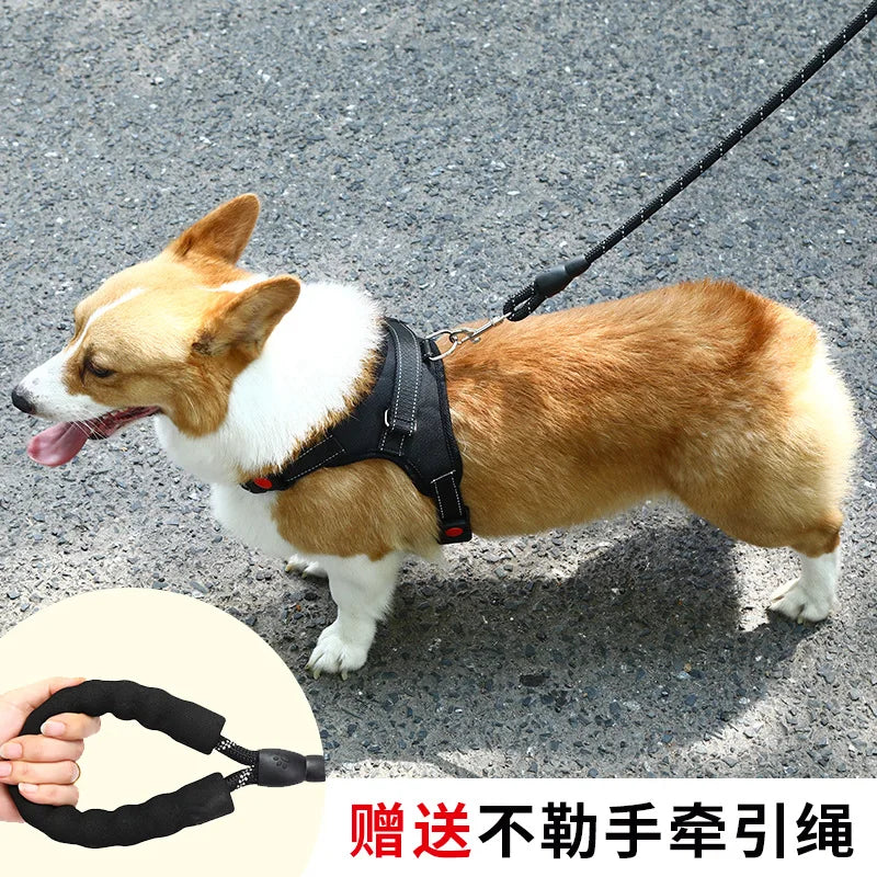 Adjustable, Reflective, Escape-Proof Dog Harness with Leash Set