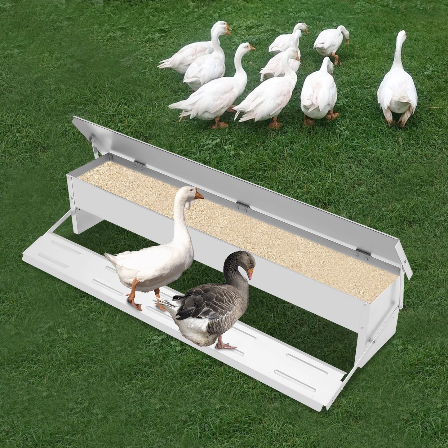 10KG Automatic Poultry Feeder for Chickens, Ducks & Pigeons – Large Capacity Trough