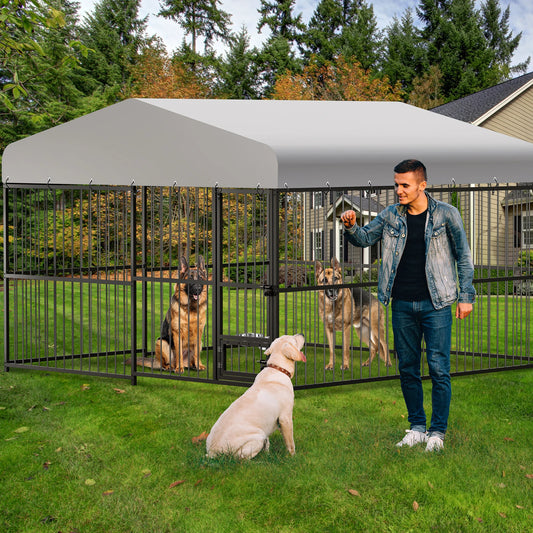 10 x 10 Ft Heavy-Duty Outdoor Dog Kennel with Roof