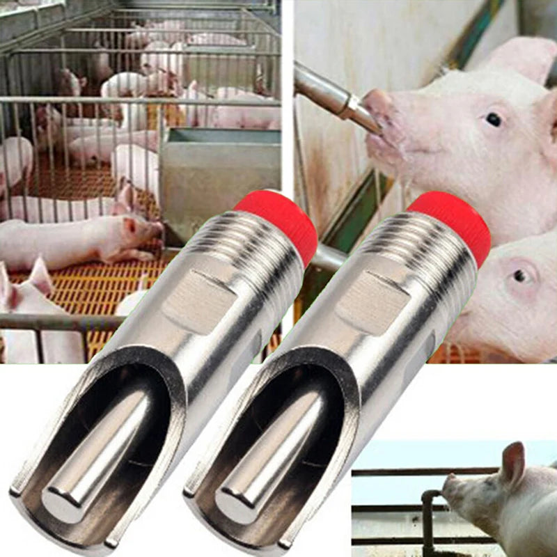 Stainless Steel Automatic Nipple Waterers for Livestock – 5/10 pcs Pig & Cow Drinking System