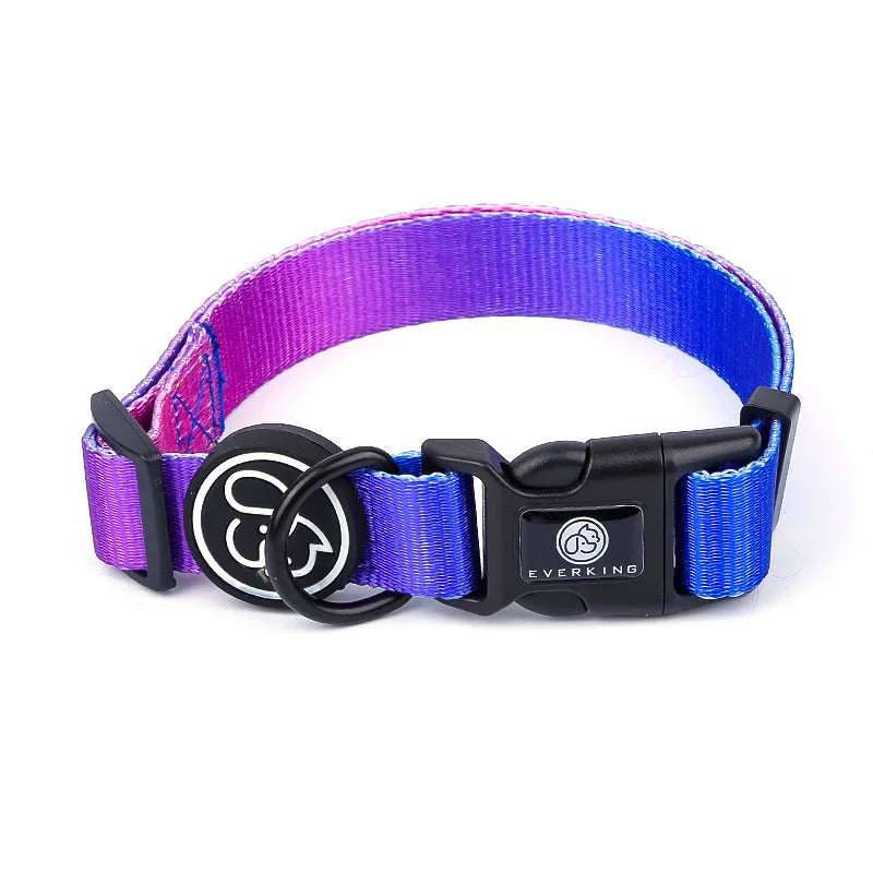 Gradient Design Dog Leash & Harness Set – Adjustable for Small, Medium & Large Dogs | Cute & Durable Pet Walking Gear