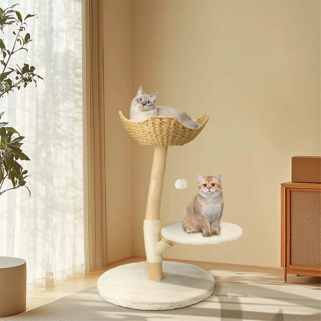 Modern Solid Wood Cat Tree with Scratching Posts, Hammocks and Toy Ball