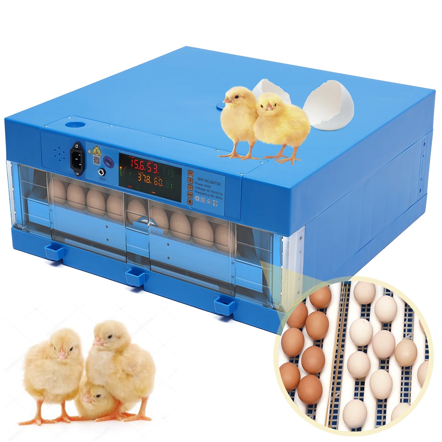 80W Automatic Egg Incubator with Digital Temperature Control – 64 Egg Capacity