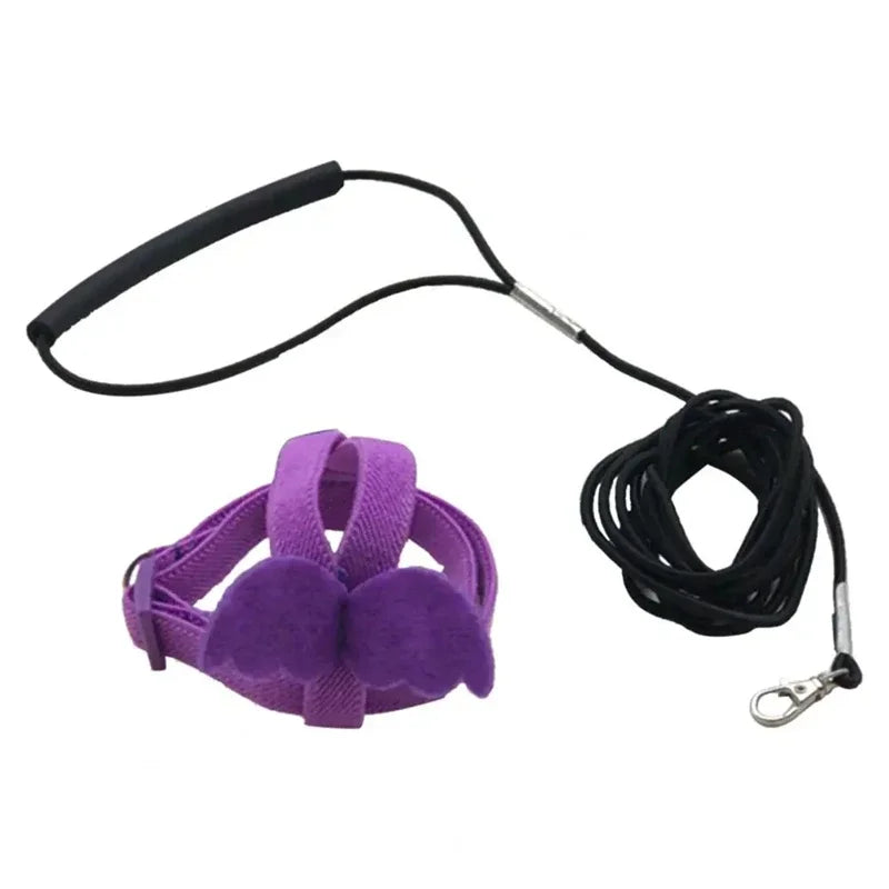 Adjustable Bird Harness & Leash Set