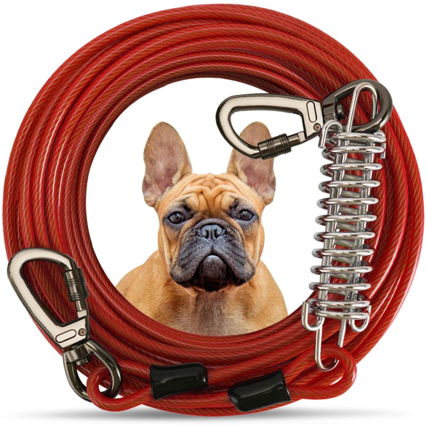 Heavy-Duty Double-Ended Steel, Tie-Out Cable Leash with Strong Metal Spring for Dogs