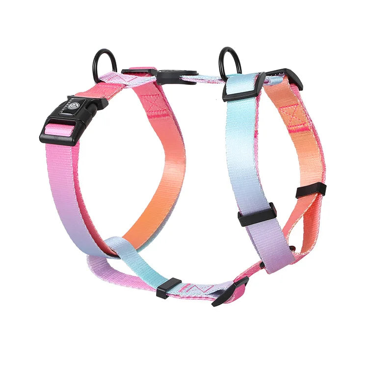 Gradient Design Dog Leash & Harness Set – Adjustable for Small, Medium & Large Dogs | Cute & Durable Pet Walking Gear