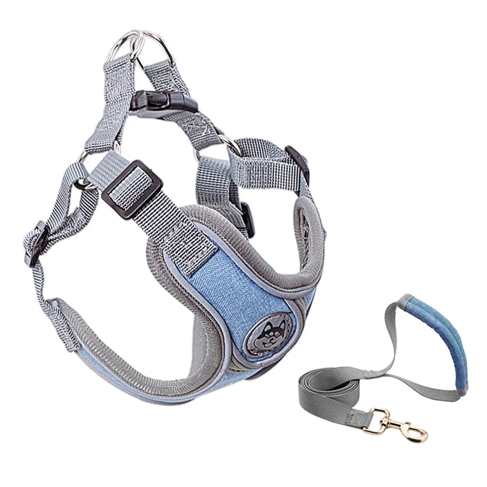 Reflective Dog Harness with Vest and Leash for Small Dogs – Ideal for Training