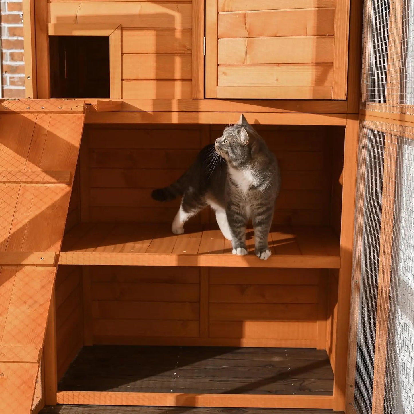 Outdoor Wooden Catio Cat Shelter with Platforms and Waterproof Roof