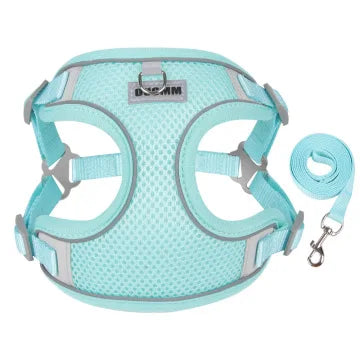 Reflective Dog Harness with Matching Leash for Small Dogs