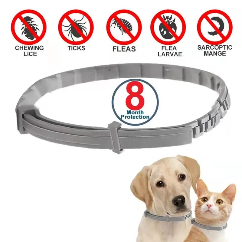 Dog Anti Flea And Tick Collars,Pet 8Month Protection Adjustable Collar  Large Dog Puppy Cat, Dogs Accessories Corbatin perro Dog