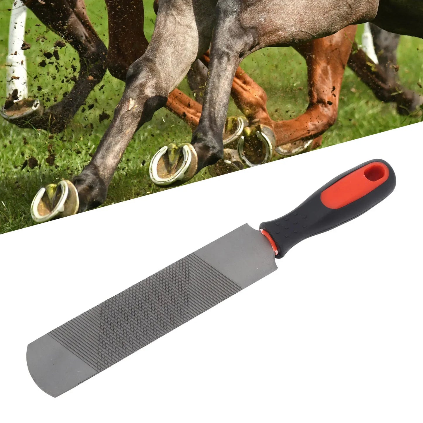 8-Inch Carbon Steel Hoof Rasp – Horseshoe Trimming Tool with Ergonomic Handle