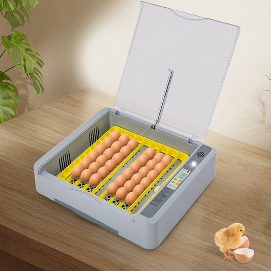 Intelligent 36-Egg Incubator with Automatic Turning & Adjustable Temperature & Humidity