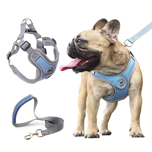 Reflective Dog Harness with Vest and Leash for Small Dogs – Ideal for Training