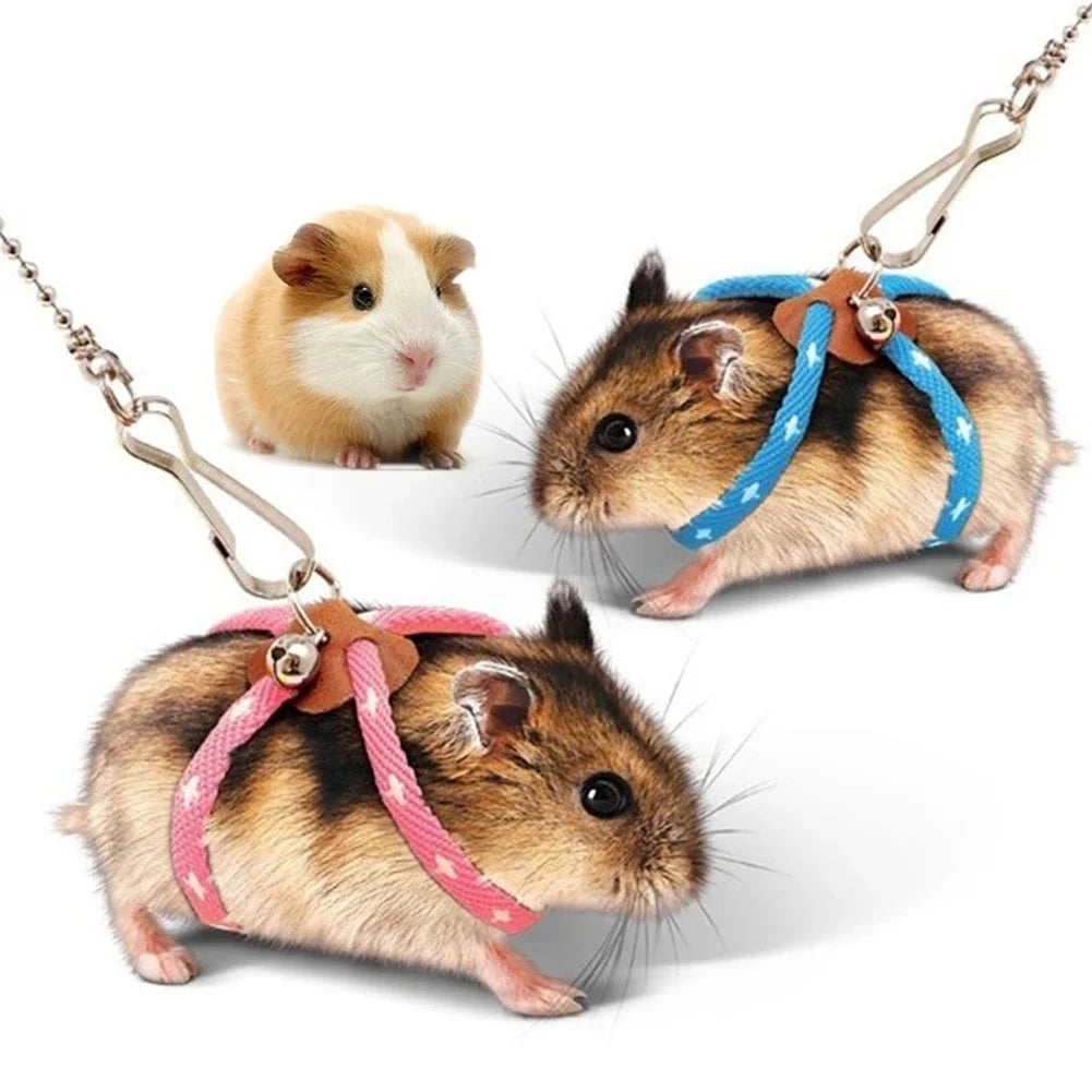 Adjustable, Comfortable, Harness & Leash Set with Bell for Birds, Parrots, Hamsters, Mice and Rats