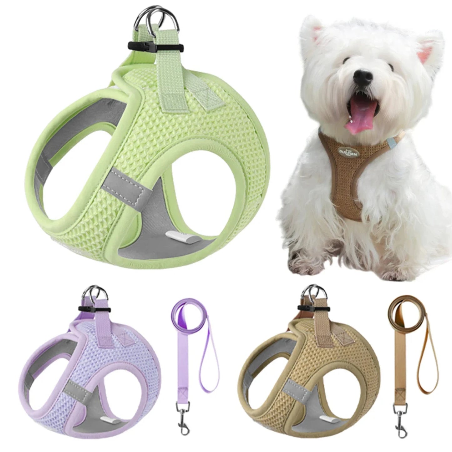 Escape-Proof Harness & Leash Set for Small Dogs – Secure & Comfortable Fit