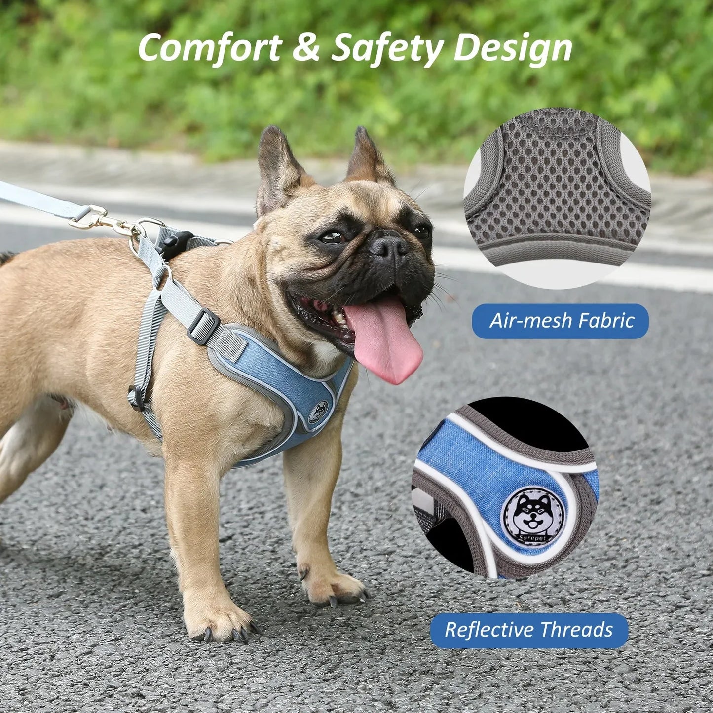 Reflective Dog Harness with Vest and Leash for Small Dogs – Ideal for Training