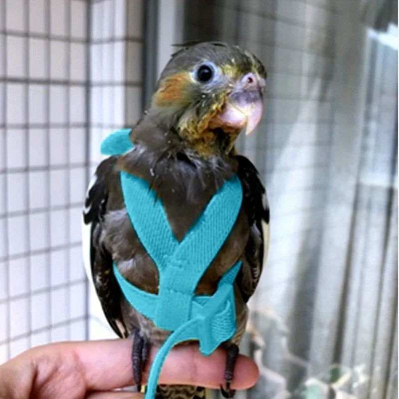 Adjustable Bird Harness & Leash Set