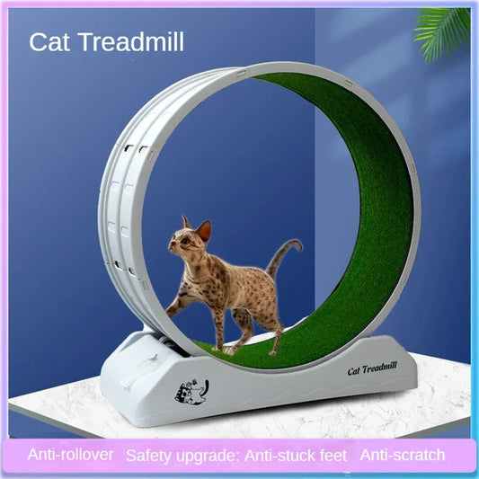 Silent Roller Cat Treadmill – Fitness Wheel for Active Cats