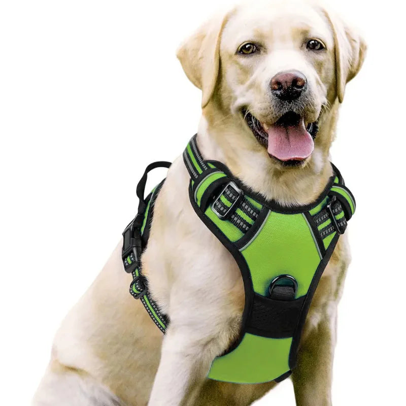 Durable Nylon Vest Dog Harness with Handle