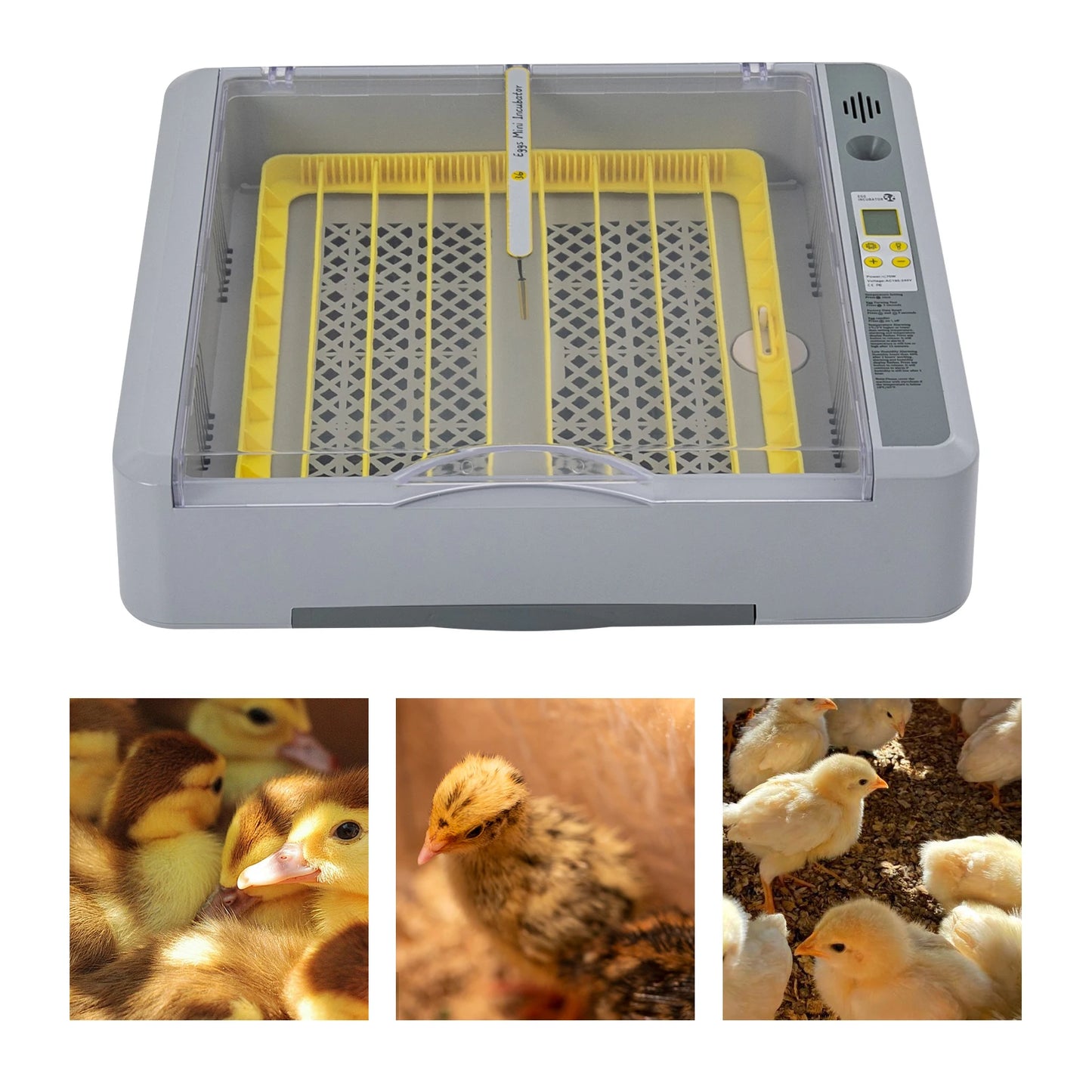 Intelligent 36-Egg Incubator with Automatic Turning & Adjustable Temperature & Humidity