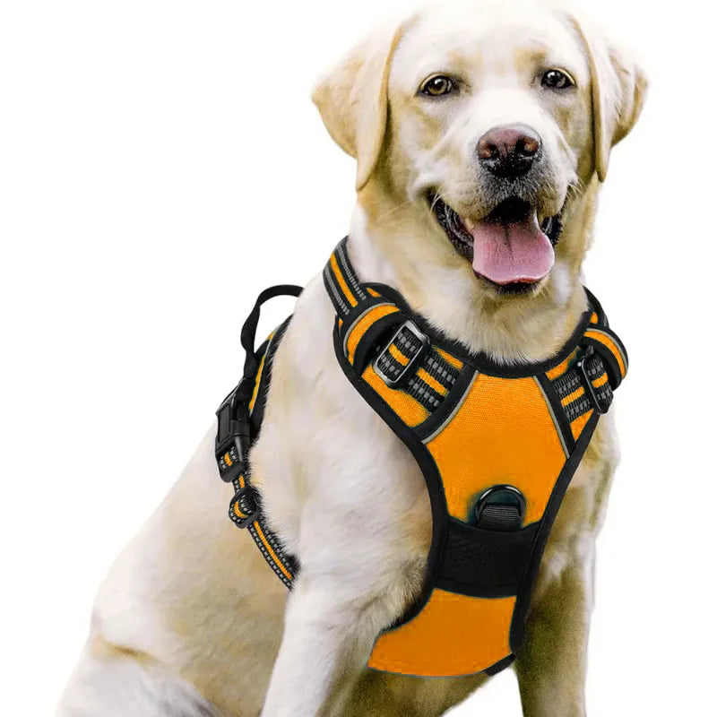 Durable Nylon Vest Dog Harness with Handle