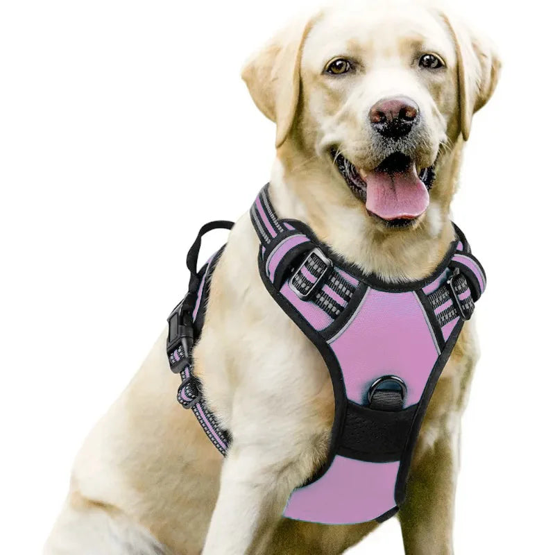 Durable Nylon Vest Dog Harness with Handle