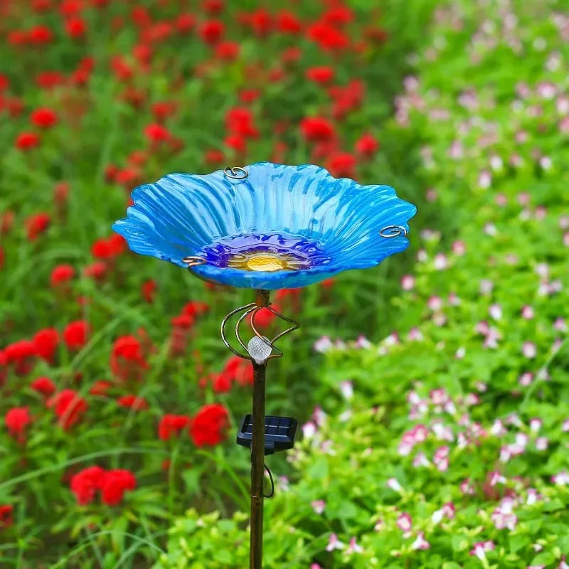 Glass Bird Bath or Feeder with Solar-Powered LED Light