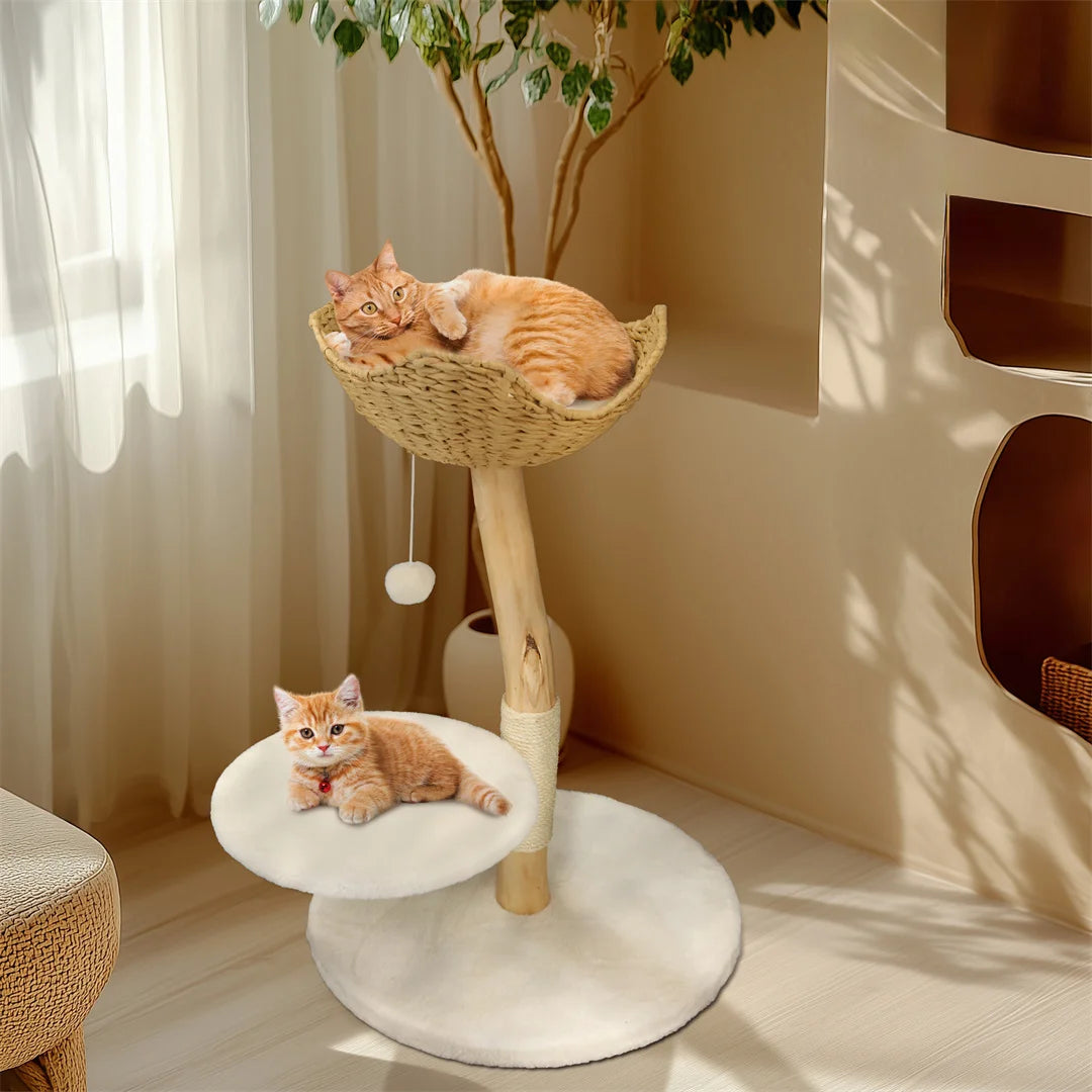 Modern Solid Wood Cat Tree with Scratching Posts, Hammocks and Toy Ball