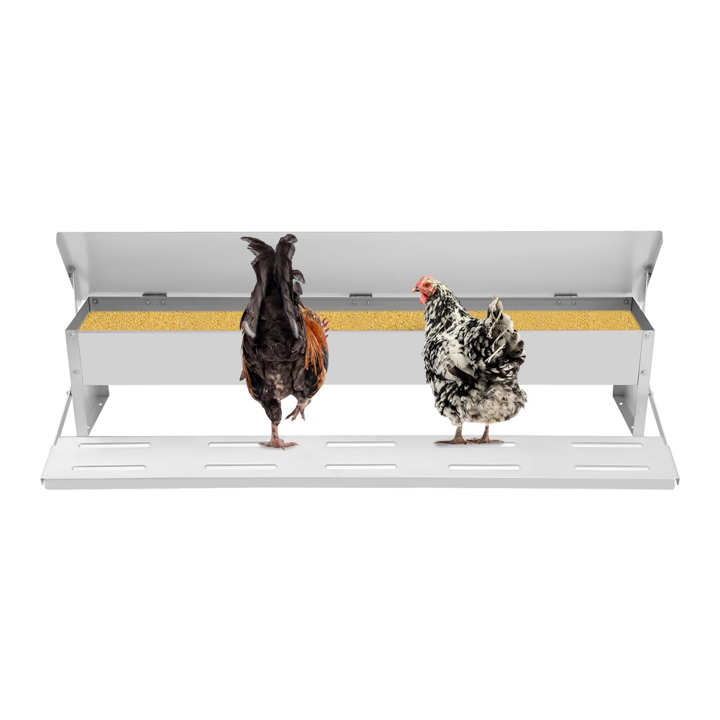 10KG Automatic Poultry Feeder for Chickens, Ducks & Pigeons – Large Capacity Trough