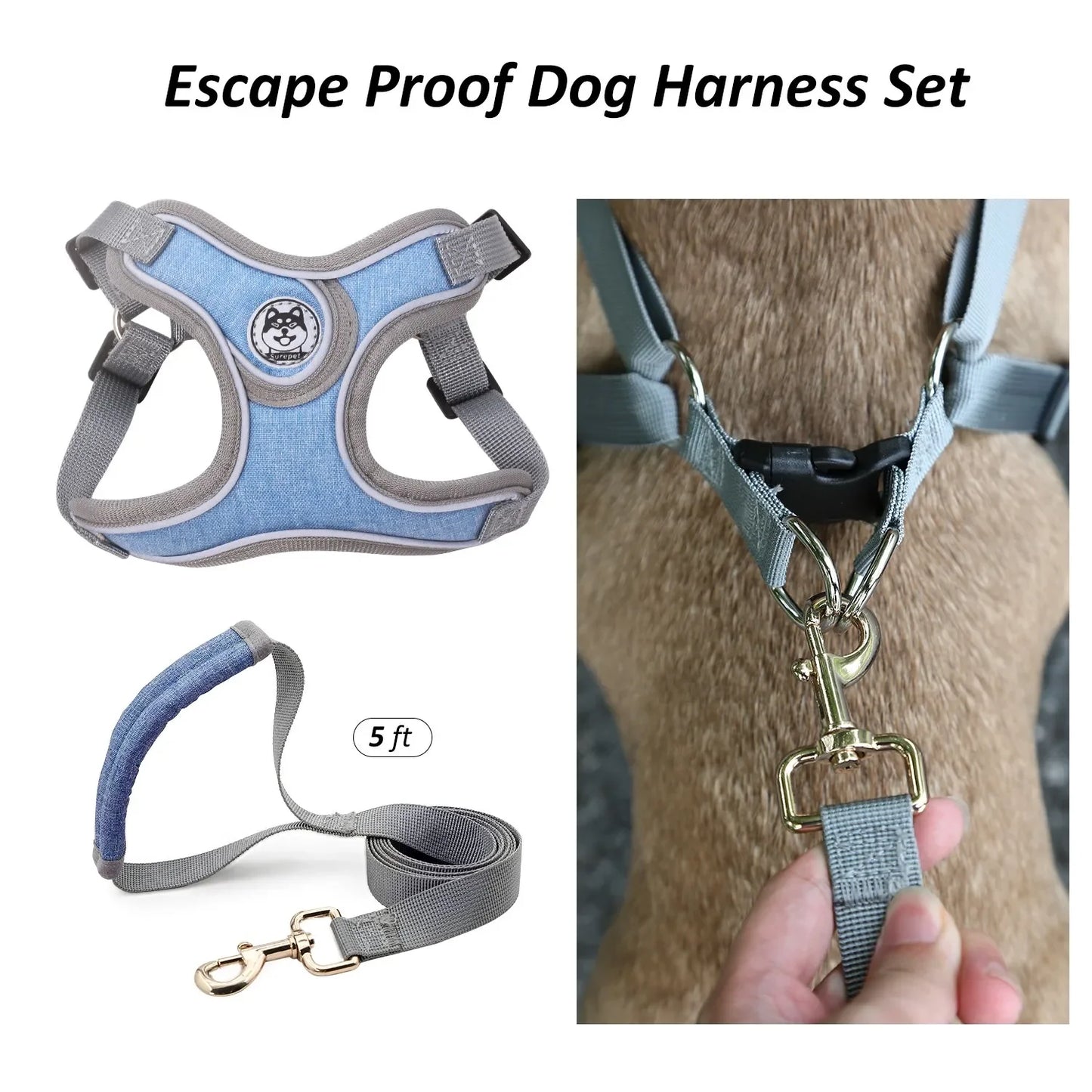 Reflective Dog Harness with Vest and Leash for Small Dogs – Ideal for Training