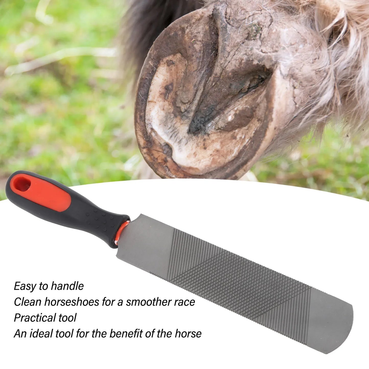 8-Inch Carbon Steel Hoof Rasp – Horseshoe Trimming Tool with Ergonomic Handle