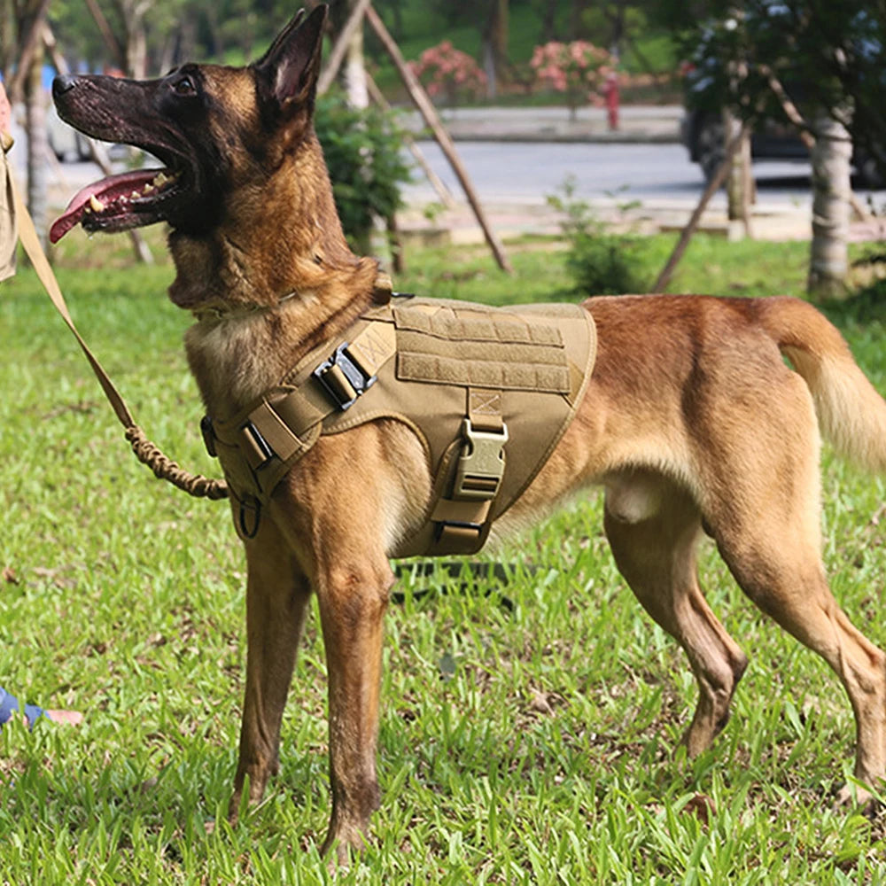 Military Dog Harness and Leash Set with Storage