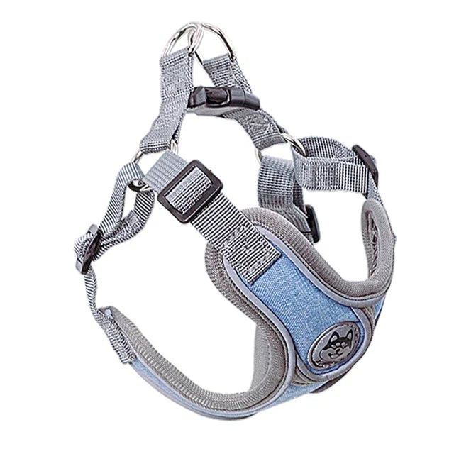 Reflective Dog Harness with Vest and Leash for Small Dogs – Ideal for Training