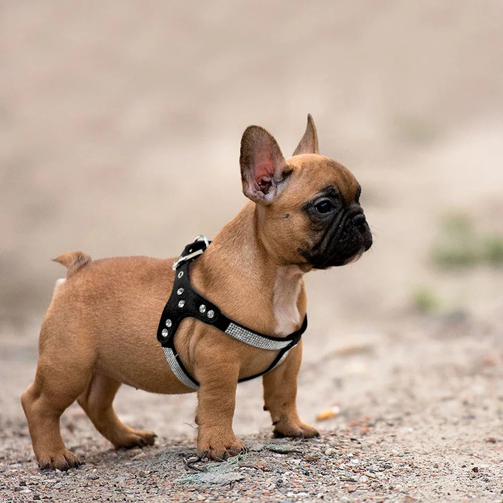 Rhinestone Suede Dog Harness for Small & Medium Breeds