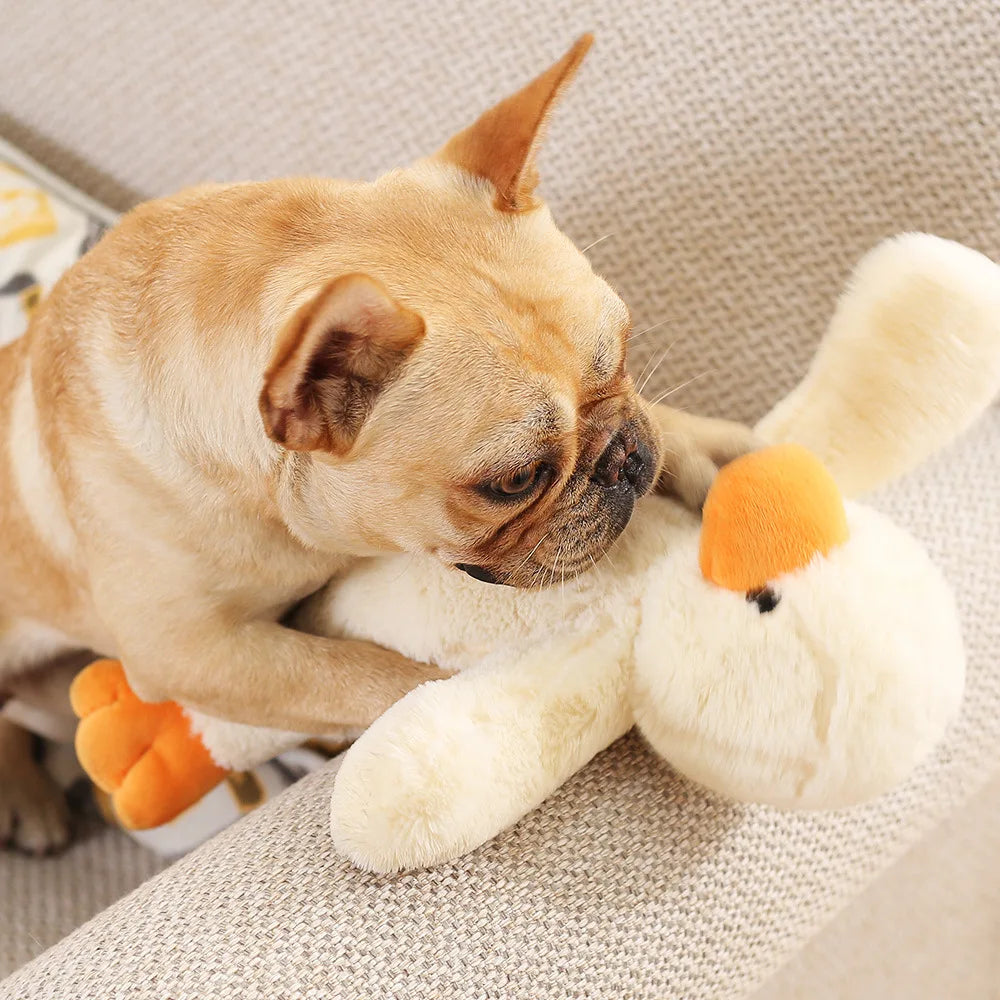 Plush Duck Dog Toy - Chew Toy for Play & Oral Care