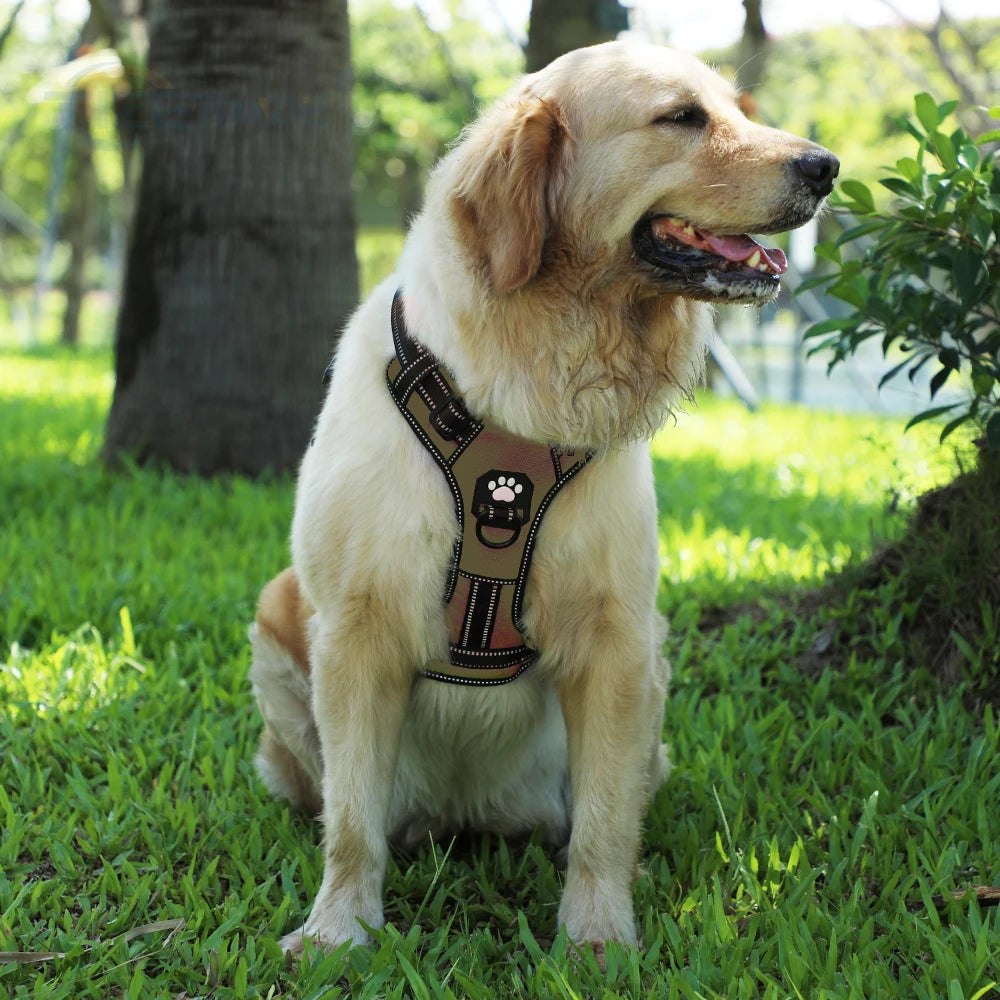 Masbrill No-Pull Adjustable Dog Harness with Reflective Straps & Optional Leash