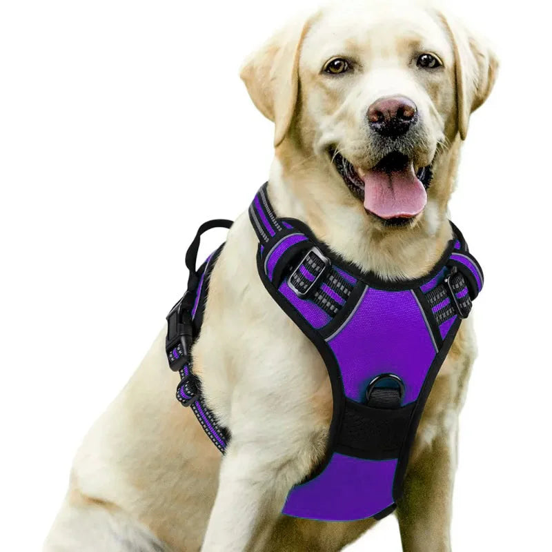 Durable Nylon Vest Dog Harness with Handle