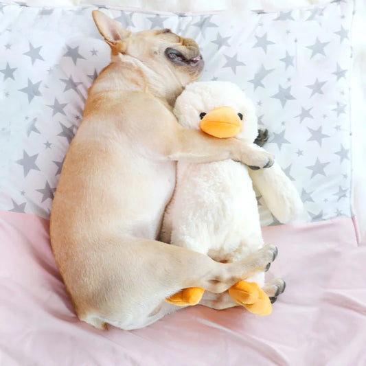 Plush Duck Dog Toy - Chew Toy for Play & Oral Care