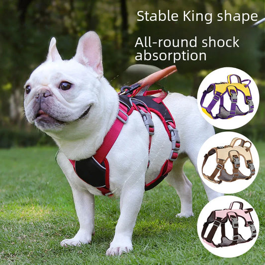 Best-Selling Reflective Dog Harness & Leash Set for Small to Medium Dogs