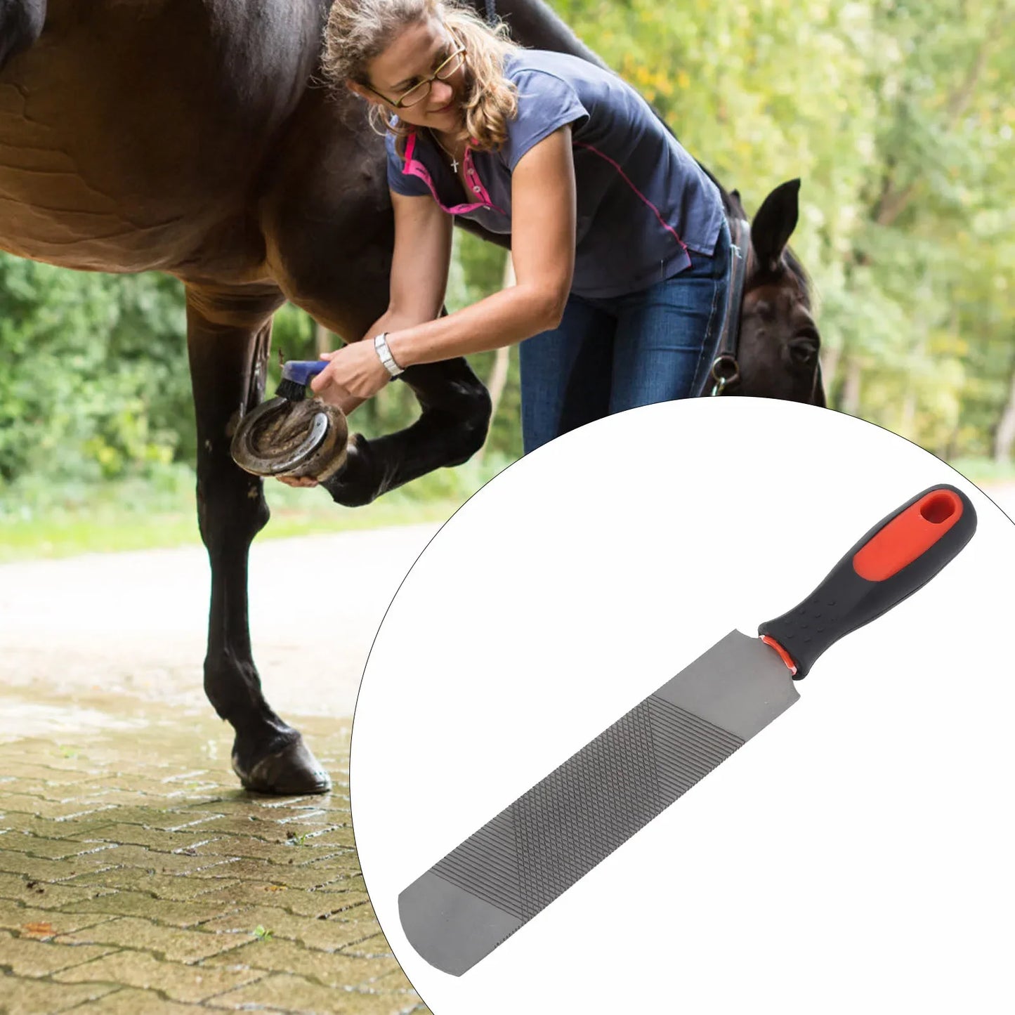 8-Inch Carbon Steel Hoof Rasp – Horseshoe Trimming Tool with Ergonomic Handle