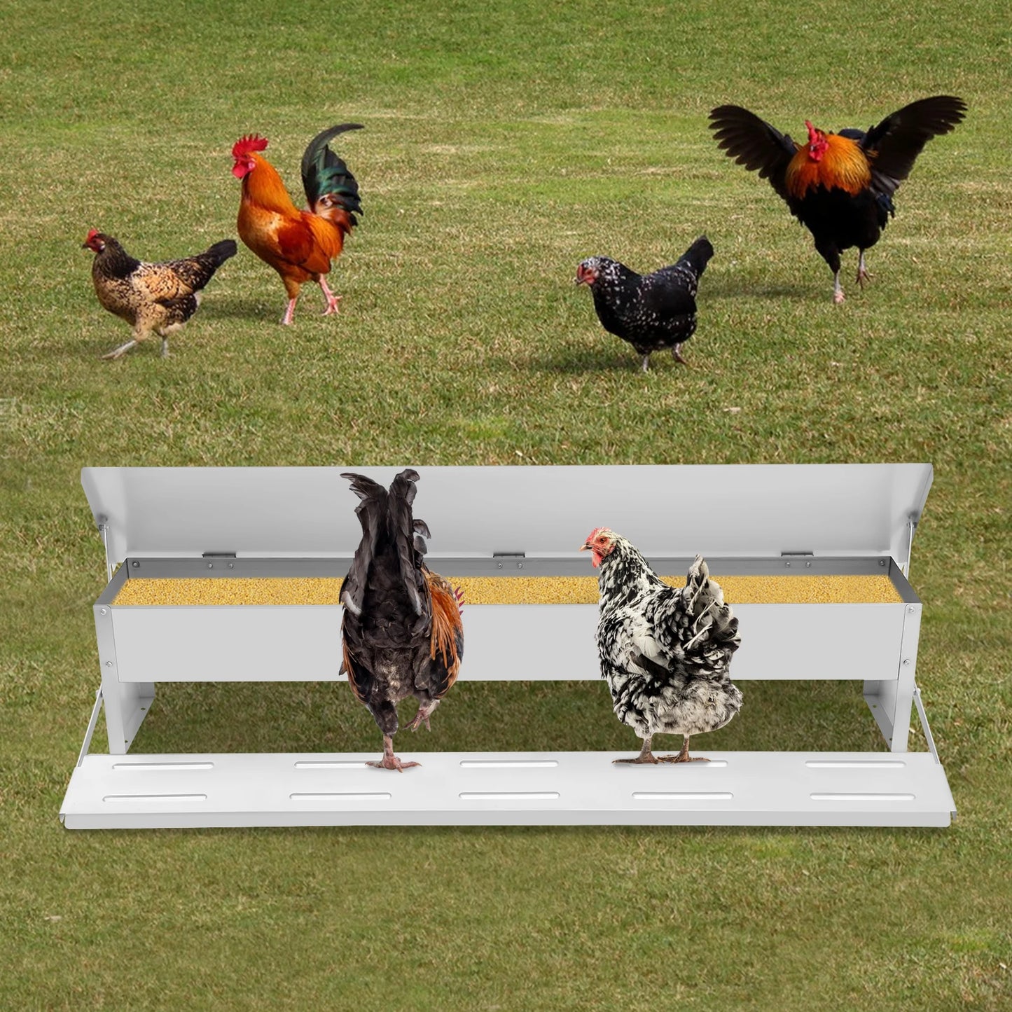 10KG Automatic Poultry Feeder for Chickens, Ducks & Pigeons – Large Capacity Trough