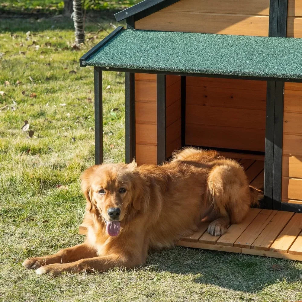 Wooden Outdoor Dog House with Porch and Asphalt Roof for Medium & Large Dogs