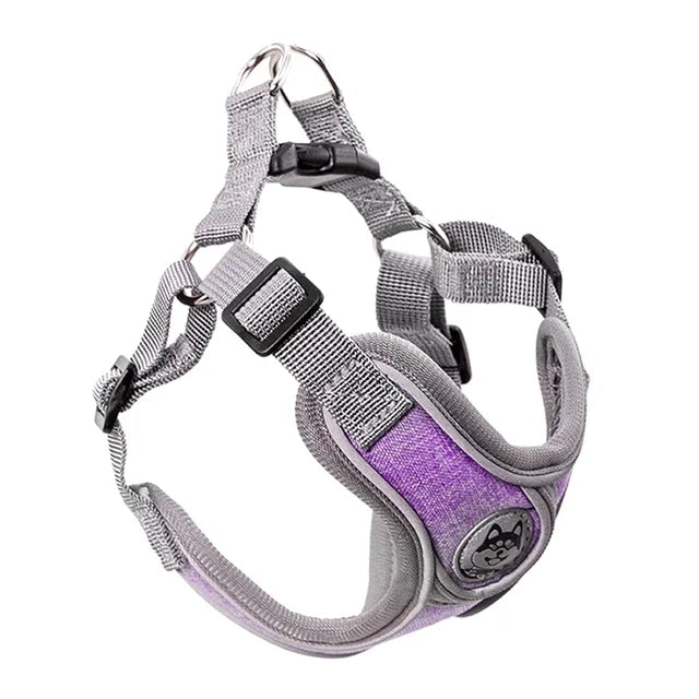 Reflective Dog Harness with Vest and Leash for Small Dogs – Ideal for Training