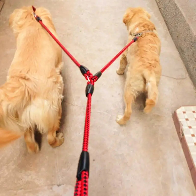 Double Dog Leash with 360° Rotating Tangle-Free Design