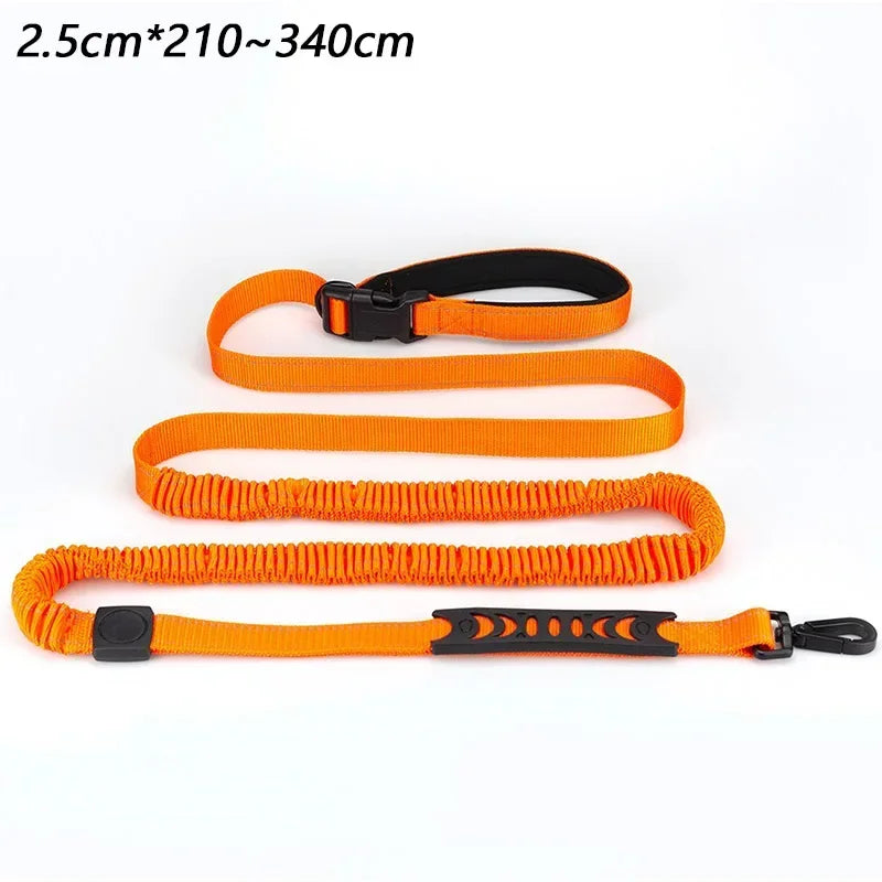 Hands-Free, Reflective, Bungee Styled Dog Leash with Waist Attachment