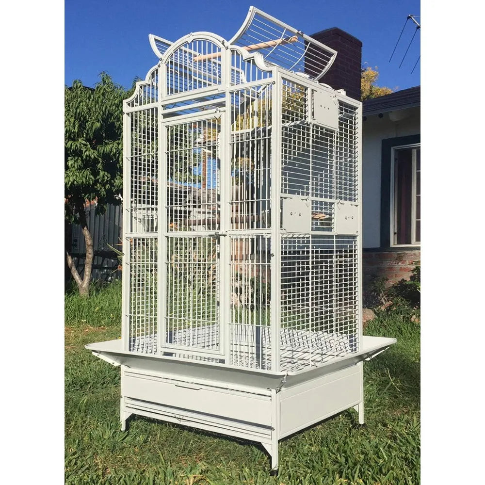 Large Wrought Iron Parrot Cage with Open Play Top